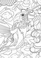 Fun Coloring Pages For Adults At GetColoringscom  Free Printable sketch template