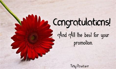 165 How to Write: Promotion Wishes – Congratulations Messages on Promotion | Best ...