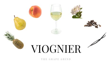 All you need to know about Viognier: A quick guide | The Grape Grind