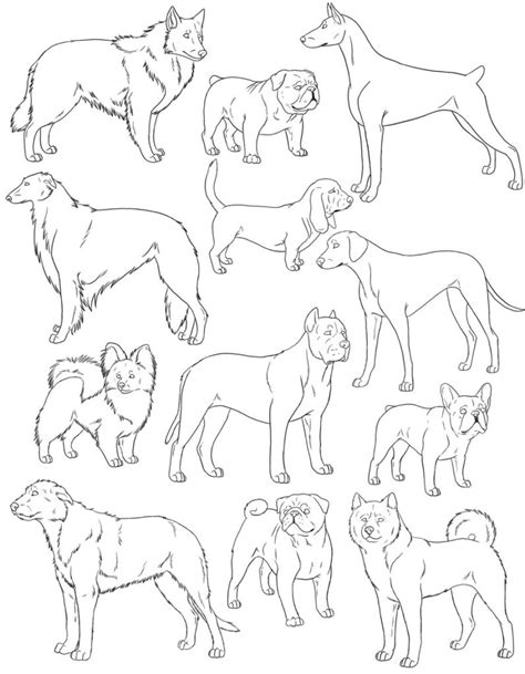 Dog Drawing Reference and Sketches for Artists