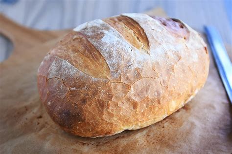 Hearty Artisan Bread Recipe - Ricomoren