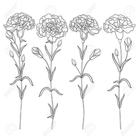 Pin by Emily on Art | Birth flower tattoos, Carnation flower tattoo ...