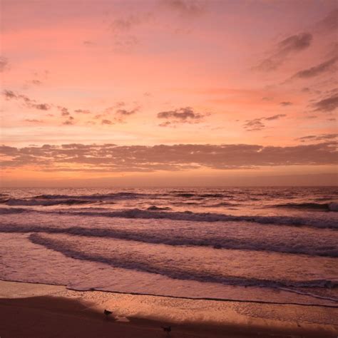 7 Best Beaches To Visit In Wilmington | TravelAwaits