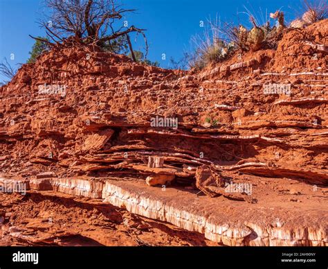 Caprock canyon state park and trailway hi-res stock photography and ...