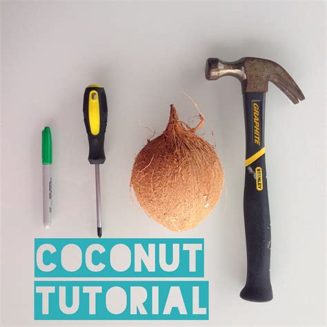 How Do You Open A Coconut With A Hammer - WHODOTO