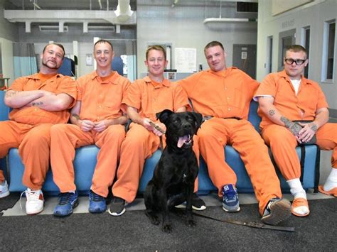 Forsyth County Jail Debuts Pups With Purpose Inmate Program | Cumming, GA Patch