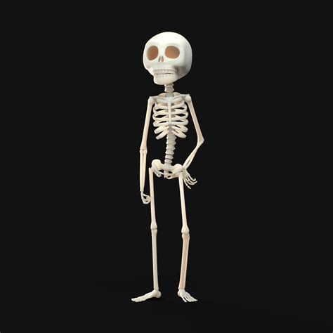 3D Skeleton Model | Skeleton model, Cute skeleton, 3d skeleton