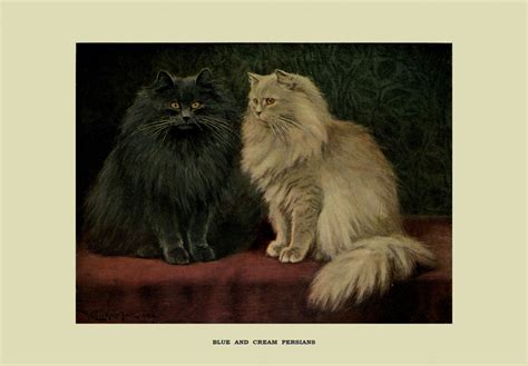 Cats Vintage Painting Persians Free Stock Photo - Public Domain Pictures