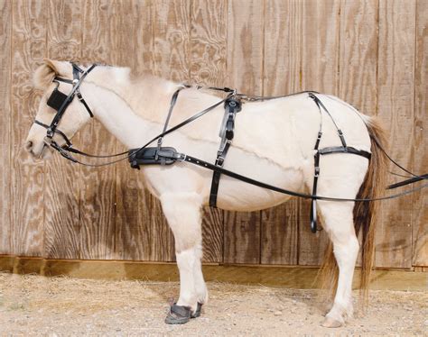 Pleasure Harness for Horses, Donkeys, and Mules Mini thru Pony Size ...