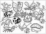 Bugs And Insects Coloring Pages  Learny Kids sketch template