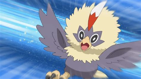 Image - Rufflet Anime.png | Seviland Encyclopedia Wiki | FANDOM powered by Wikia