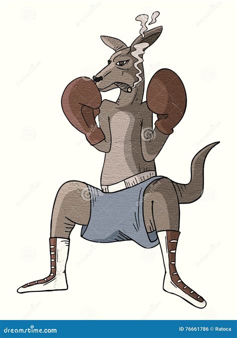 Kangaroo boxing stock illustration. Illustration of competition - 76661786