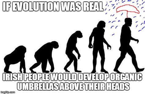 Human Evolution - Imgflip