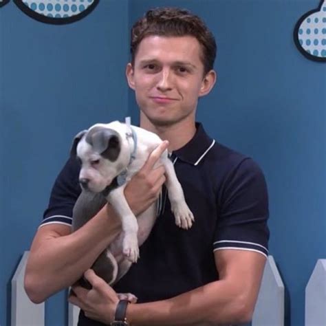 Puppy holding a puppy 😭 | Tom holland spiderman, Tom holland, Holland