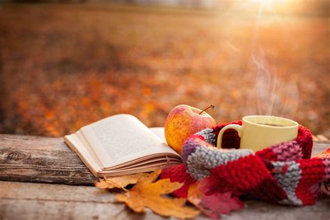 fall-autumn-apple-cozy-warm – Your Connection to Wildlife