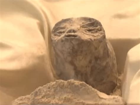 Mexico alien | 1000-year-old fossils of 'alien corpses' displayed at Mexican Congress - Watch ...