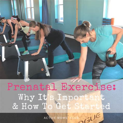 Prenatal Exercise: Why It's Important & How To Get Started - Active Moms Club