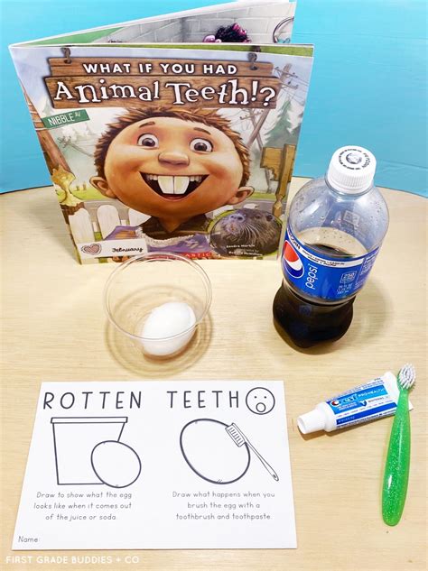 Simple Science: Rotten Teeth | First Grade Buddies