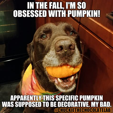 Pumpkins are delicious - Imgflip