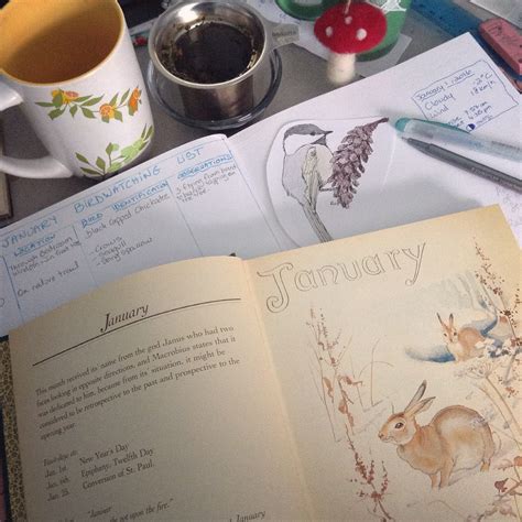 Starting a Nature Journal & Setting Up a Nature Table