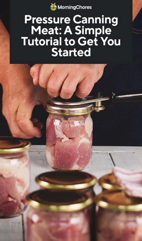 Pressure Canning Meat: A Simple Tutorial to Get You Started