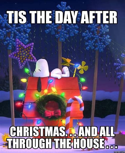 Pin by Lisa D'Ambrose on Christmas - The Day After | Christmas memes ...