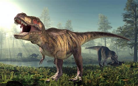Growing Up Tyrannosaurus Rex: Researchers Learn More About Teen-Age T.Rex