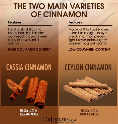 What is the Best Cinnamon to Use? - DrJockers.com