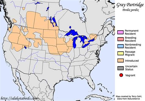 Gray Partridge - Species Range Map