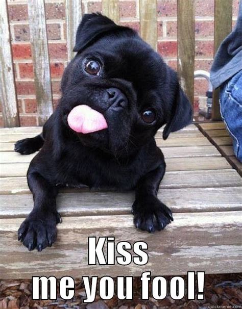 Kiss Me Meme Funny - Funny PNG