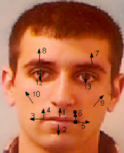 Figure 2.1 from Automatic Facial Expression Recognition from Video Sequences Using Temporal ...