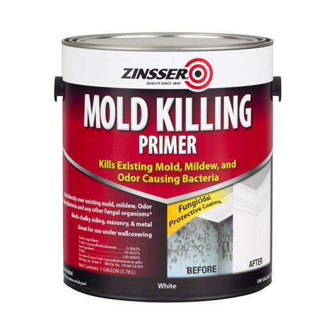 Best Mold- and Mildew-Resistant Paints for 2022 | The Family Handyman