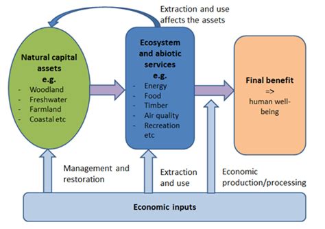 Natural capital: putting a price on nature | Croner-i