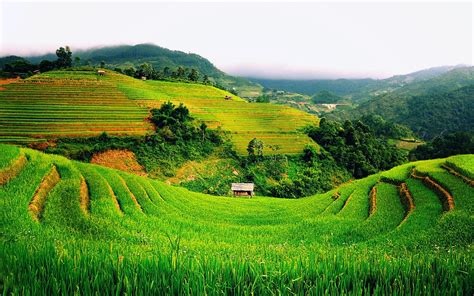 MLDSPOT | Ini Sawah Terasering Terbaik di Indonesia