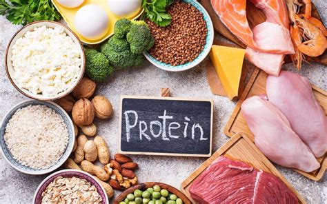 High Protein Foods: 12 Foods for High Protein Diets