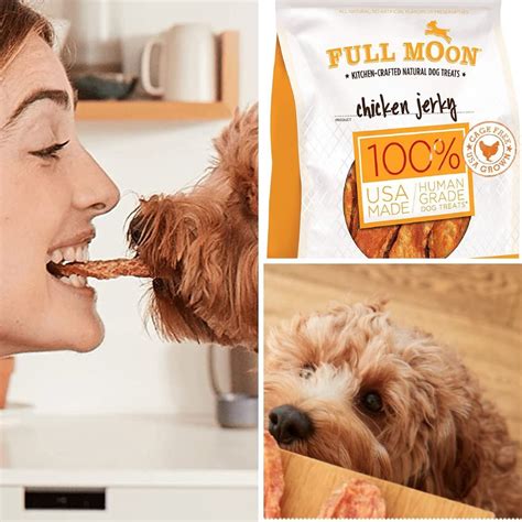 Get Your Paws On These Top 5 Dog Jerky Treats!