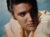 Elvis Presley rock men h wallpaper | 1620x1207 | 145560 | WallpaperUP
