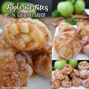 Apple Pie Bites (Deep Fried Wonton Recipe) - Great Grub, Delicious Treats