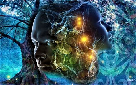 Your Brain Is Not Your Mind: An Exploration Of The True Nature Of Consciousness - Conscious Reminder