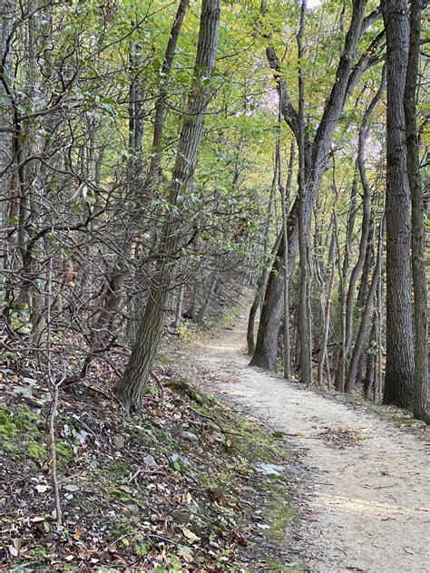 Mt. Joy Trail, Valley Forge National Park, Pennsylvania, USA. : r/hiking