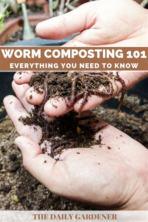 Worm Composting 101: Everything You Need to Know!