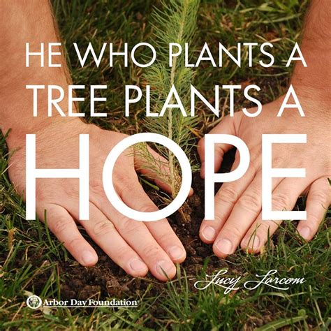 Tree Planting & Care at arborday.org | Trees to plant, Tree planting quotes, Tree quotes