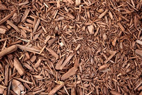 The Benefits of Mulch and Your Garden - T&G Tree Services