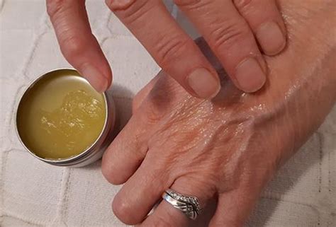 How to Make a Chaparral Salve for Wounds And Skin Infections - The Lost ...