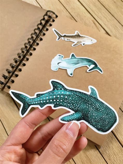 Shark Stickers Vinyl Stickers Sharks Ocean Life Plastic - Etsy