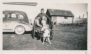 Kids riding in a goat-pulled cart | Undated | simpleinsomnia | Flickr