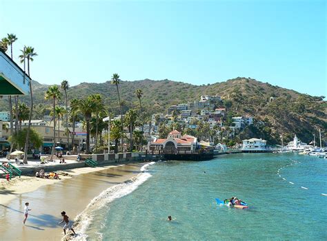 A Perfect Catalina Island Day Trip - the Complete Guide