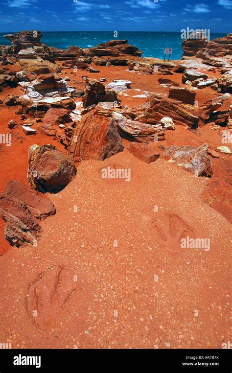 Replica dinosaur footprints at Gantheaume Point Broome Western Australia Stock Photo - Alamy