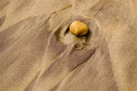 Stone On The Beach Free Stock Photo - Public Domain Pictures