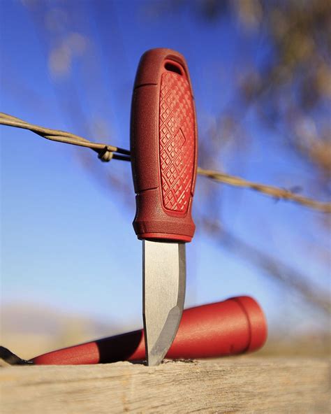 The Awesomely Small Morakniv Eldris Fixed Blade Knife | Knife, Mora knives, Fixed blade knife